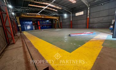 Terreno con 4 galpones, sector la Negra.