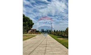 Parcelas urbanizadas en VENTA en OLIVAR.