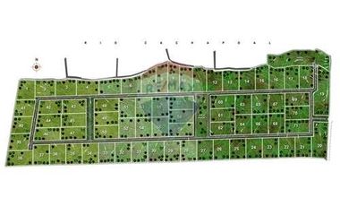 Parcelas urbanizadas en VENTA en OLIVAR.