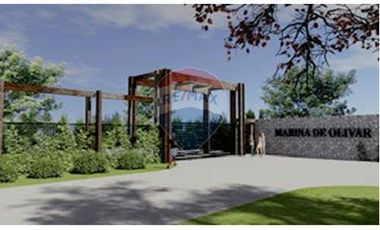 Parcelas urbanizadas en VENTA en OLIVAR.