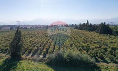 Se venden 17 Hectáreas en RANCAGUA