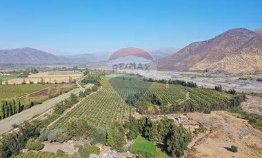 Se venden 17 Hectáreas en RANCAGUA