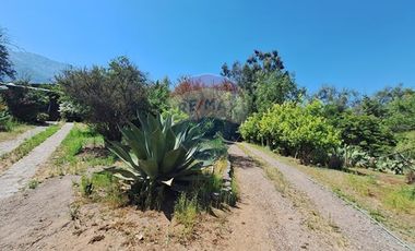 Parcela En Lo Cañas 10 mil m2 - Derecho a agua