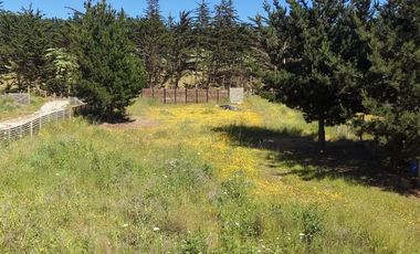 Terreno estratégico cercano a Punta de Lobos