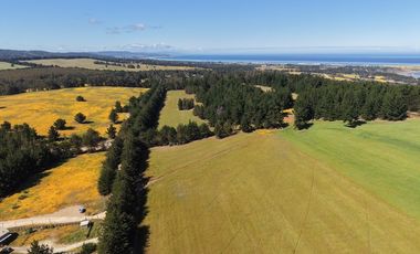 Terreno estratégico cercano a Punta de Lobos