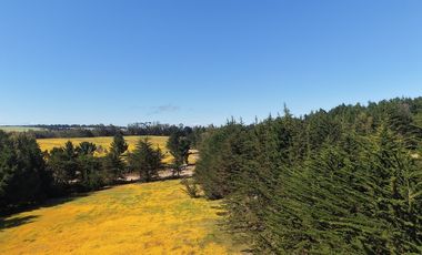 Terreno estratégico cercano a Punta de Lobos