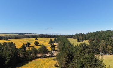 Terreno estratégico cercano a Punta de Lobos