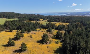 Terreno estratégico cercano a Punta de Lobos
