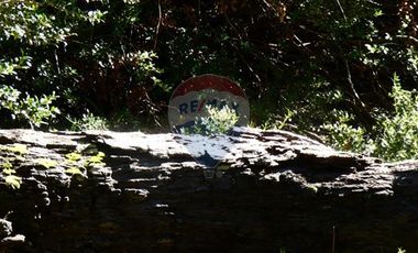 Parcelas en Melipeuco