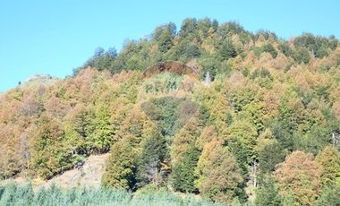 Parcelas en Melipeuco