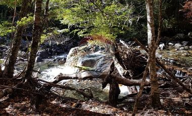 Parcelas en Melipeuco