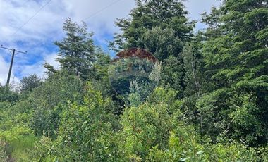 Parcela Villarrica - LicanRay