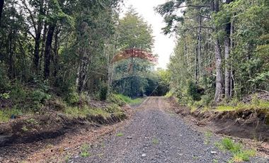 Parcela Villarrica - LicanRay