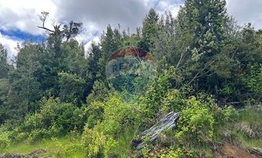 Parcela Villarrica - LicanRay