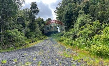 Parcela Villarrica - LicanRay