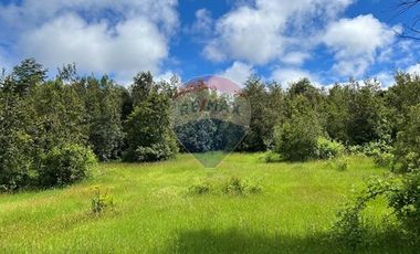 Parcela Villarrica - LicanRay