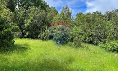 Parcela Villarrica - LicanRay