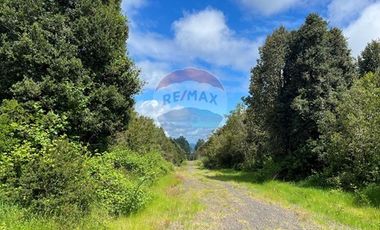 Parcela Villarrica - LicanRay