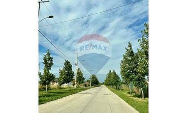 Atención inversionistas