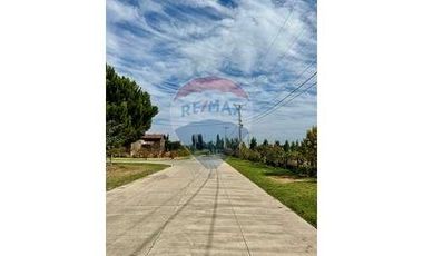 Atención inversionistas