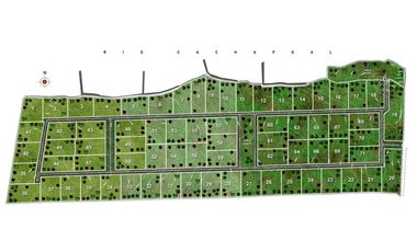 Atención inversionistas