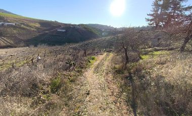 SE VENDE PARCELA EN SECTOR DE QUIEME, QUILLÓN