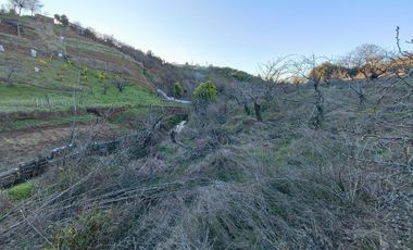 SE VENDE PARCELA EN SECTOR DE QUIEME, QUILLÓN