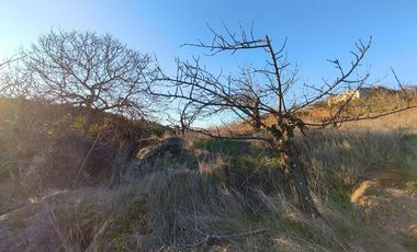 SE VENDE PARCELA EN SECTOR DE QUIEME, QUILLÓN