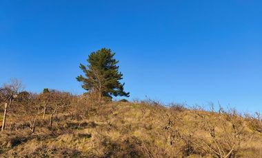 SE VENDE PARCELA EN SECTOR DE QUIEME, QUILLÓN