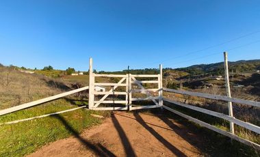 SE VENDE PARCELA EN SECTOR DE QUIEME, QUILLÓN
