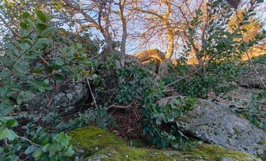SE VENDE PARCELA EN SECTOR DE QUIEME, QUILLÓN