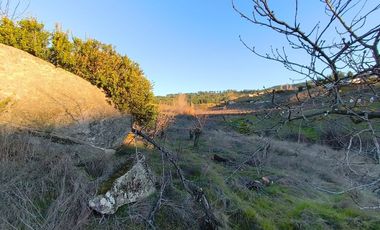 SE VENDE PARCELA EN SECTOR DE QUIEME, QUILLÓN