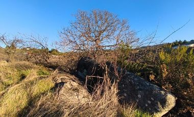 SE VENDE PARCELA EN SECTOR DE QUIEME, QUILLÓN