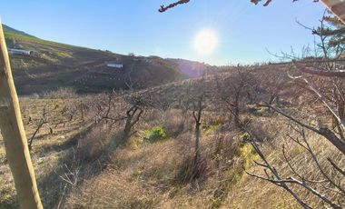 SE VENDE PARCELA EN SECTOR DE QUIEME, QUILLÓN