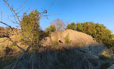 SE VENDE PARCELA EN SECTOR DE QUIEME, QUILLÓN