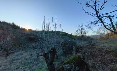 SE VENDE PARCELA EN SECTOR DE QUIEME, QUILLÓN