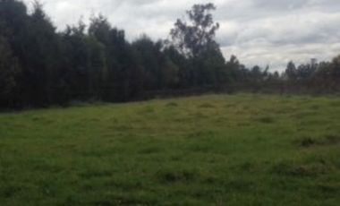 ARRIENDO de LOTES en CHIA