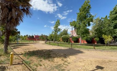 AV MÉXICO CON ANGEL PIMENTEL