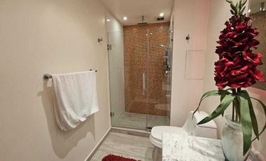 Renta departamento en Polanco AMUEBLADO