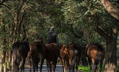 Venta Lote Terreno M Chico Ruta 34