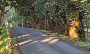 Venta Lote Terreno M Chico Ruta 34