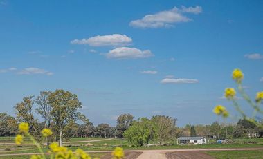 Venta Lote Terreno M Chico Ruta 34