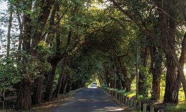 Venta Lote Terreno M Chico Ruta 34