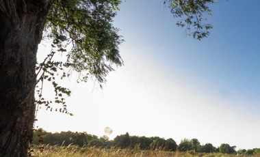 Venta Lote Terreno M Chico Ruta 34