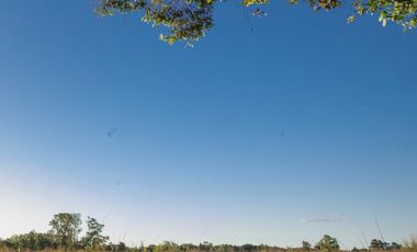 Venta Lote Terreno M Chico Ruta 34