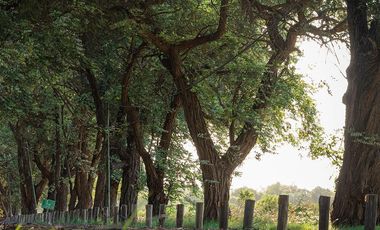 Venta Lote Terreno M Chico Ruta 34