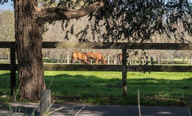 Venta Lote Terreno M Chico Ruta 34