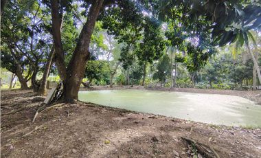 SE VENDE Y SE ARRIENDA CASA FINCA VIA AGUAS NEGRAS DE MONTERIA