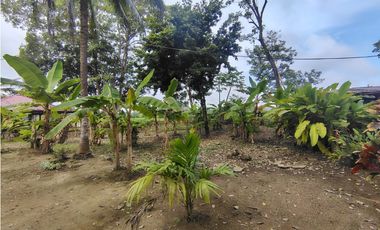 SE VENDE Y SE ARRIENDA CASA FINCA VIA AGUAS NEGRAS DE MONTERIA