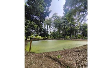 SE VENDE Y SE ARRIENDA CASA FINCA VIA AGUAS NEGRAS DE MONTERIA